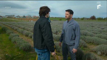 Iubire cu parfum de lavandă Sezonul 3 Episodul 8 din 31.10.2025 Part 1