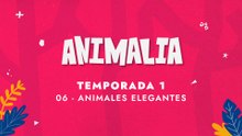 06 ANIMALES ELEGANTES