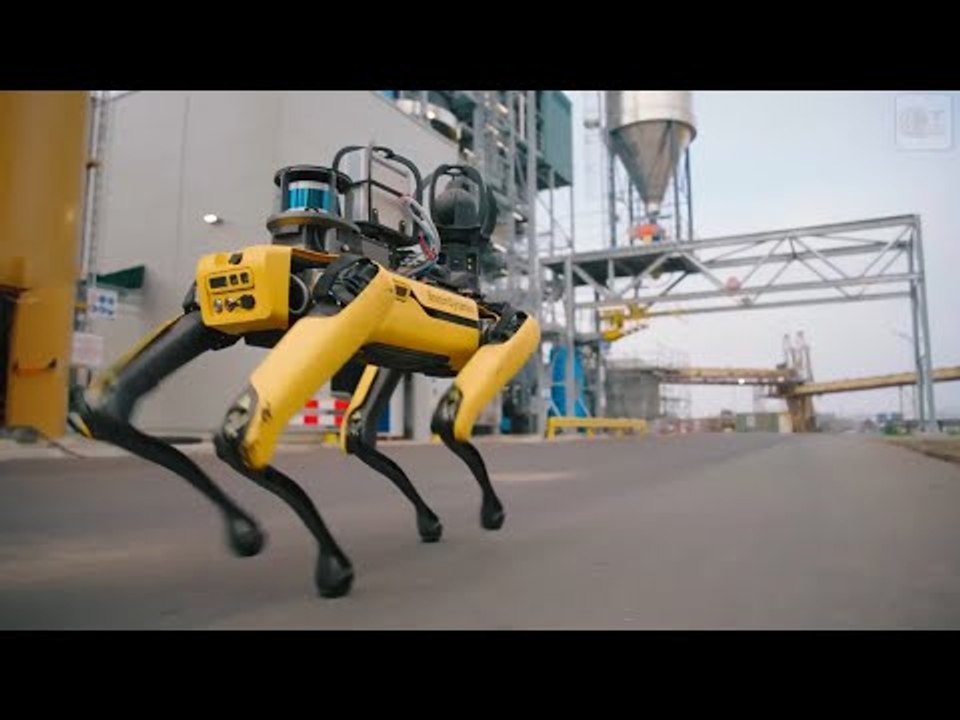 Roboterhund 'Spot' von Boston Dynamics beim Cargill-Sicherheits-Check