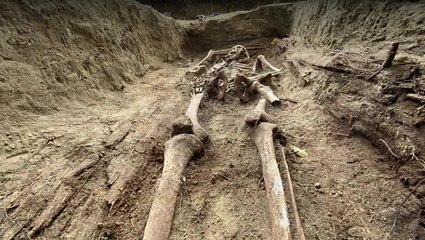 Polish Archaeologists Unearth Remains Of Nuns Executed By Soviets