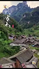 De Granjero A Regente Completo