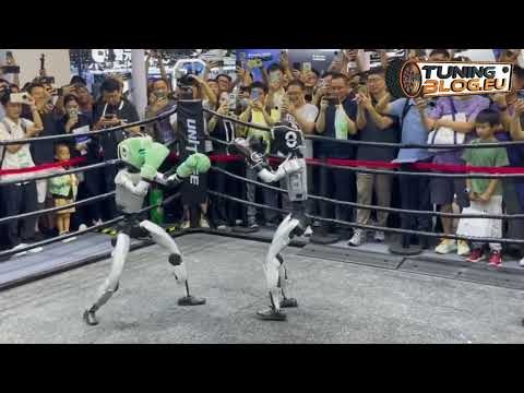 Roboter-Boxsport & Fußball auf der 2025 World Robot Conference