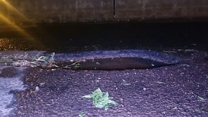 Motoristas alertam para buraco na marginal da PRc-467, perto da Rua Jacarezinho