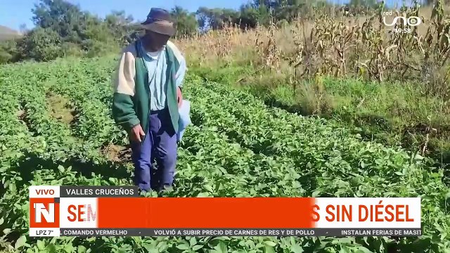 TEMEN ESCASEZ DE VERDURAS Y HORTALIZAS POR FALTA DE COMBUSTIBLES