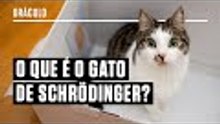 O que é o Gato de Schrödinger? Pesquisadora responde a perguntas sobre física quântica.