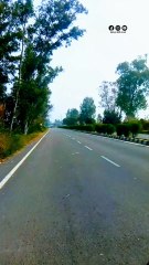 Good vibes | Explore the beauty of Nature | Nature with Amit