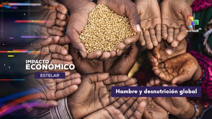Revisaremos datos sobre el hambre y la desnutrición global IMPACTO ECONÓMICO ESTELAR  31-10-2025
