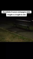 Accoltella il nuovo compagno della moglie e si toglie la vita.