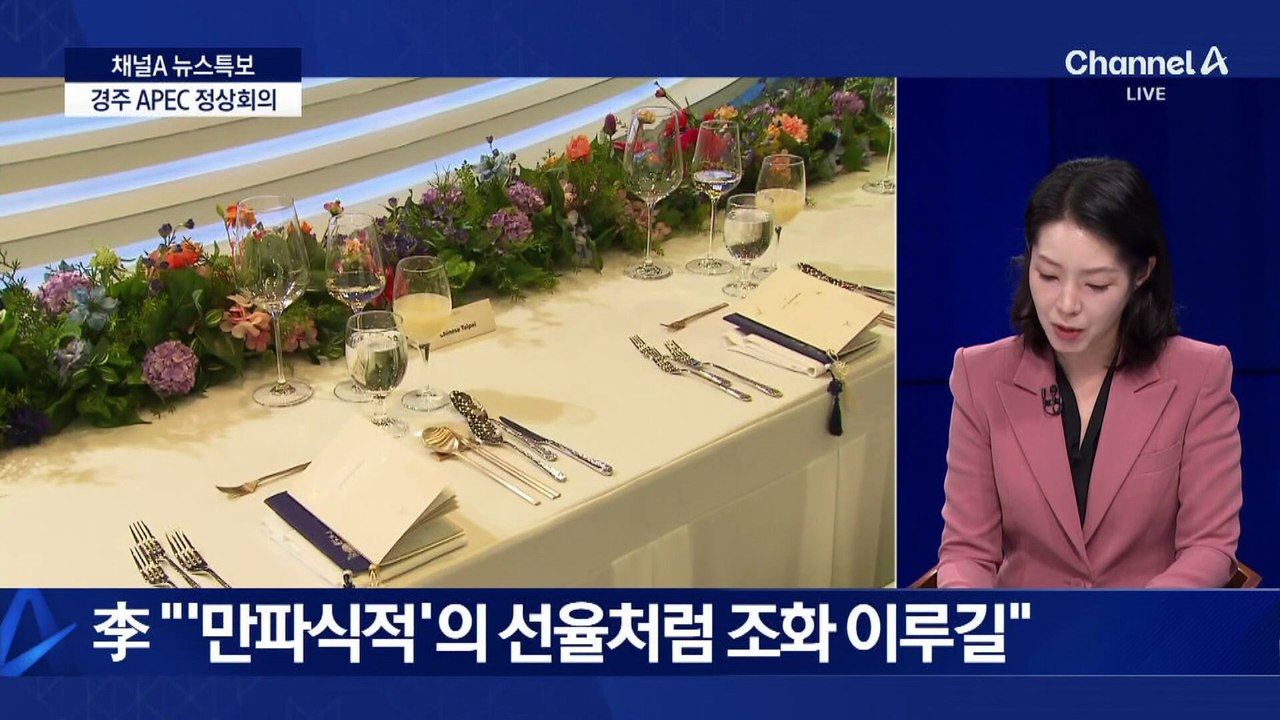 경주 APEC 정상 만찬 빛낸 K-팝 스타들