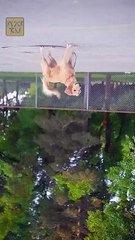 The Cure for a Broken Heart Full Movie