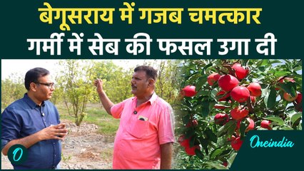 Begusarai Apple farming: गर्म मौसम में Rajesh Kumar ने सेब की खेती से कैसे कमाये करोड़ों रुपये