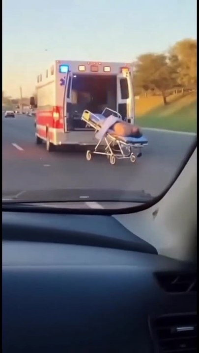 Se cayó la camilla.