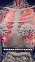 Delhi Smog Surge: Why Every Home Is Falling Ill