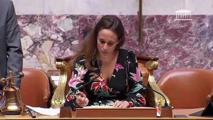 1ère séance : Questions au Gouvernement  ; Projet de loi de finances pour 2026 première partie (suite) - Mercredi 29 octobre 2025