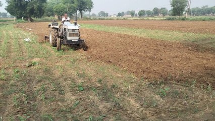 प्याज की बेकद्री से किसानों का टूटा मन, जमालपुर में डेढ़ बीघा प्याज की जुताई