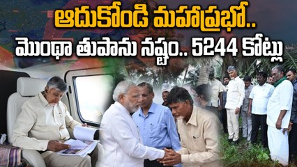 Cyclone Montha Damage Report : కేంద్రాన్ని సాయం కోరిన AP..శాఖల వారీగా జరిగిన నష్టం వివరాలు