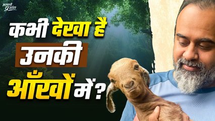 उसकी आँखों में तुम्हारी ही तस्वीर है || आचार्य प्रशांत, कार्यशाला (2023)