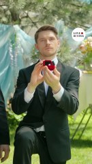 Three millionaires proposed to maid lovestory shorts