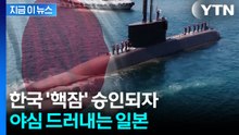 한국 핵잠 승인에 일본 "모든 선택지 열려"...자위대 달라지나 [지금이뉴스] / YTN