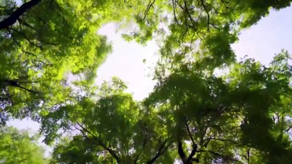 TIẾN VỀ PHÍA TRƯỚC - TẬP 32 - VTV3 THUYẾT MINH - PHIM TRUNG QUỐC - THẾ GIỚI COOL NGẦU – TIEN VE PHIA TRUOC