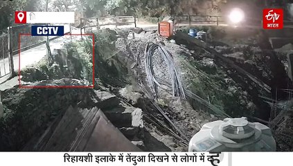 संजौली में तेंदुए का आतंक, पिछले दिनों रिहायशी इलाके में छोटे बच्चे पर किया था हमला