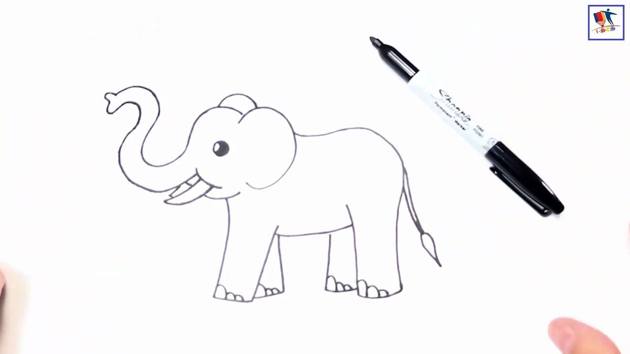 Drawing an Elephant