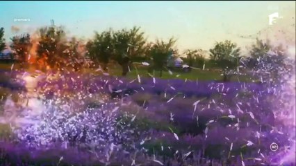 Iubire cu parfum de lavanda Sezonul 3 Episodul 7 din 24 octombrie 2025