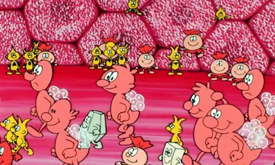 Esplorando il corpo umano 16 Il Fegato