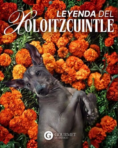 La leyenda del xoloitzcuintle