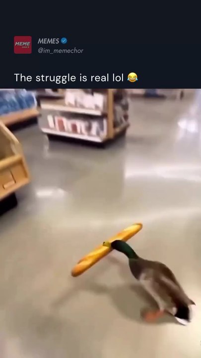 Struggle is real 🤣