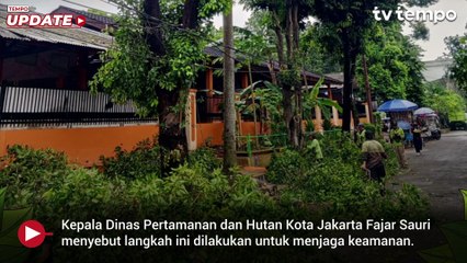 Pemprov Jakarta Pangkas 62 Ribu Pohon Rawan Tumbang