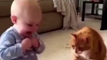 ​Baby's Hilarious Reaction to Cat Scared by Popping Balloon