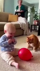 ​Baby's Hilarious Reaction to Cat Scared by Popping Balloon