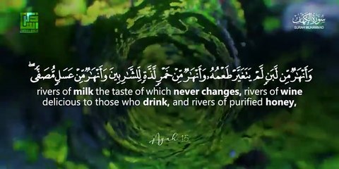 Surah Muhammad (سورة محمد) - Calm your heart with beautiful recitation