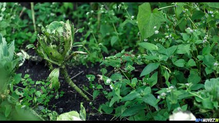 Fire In The Mountains – Full Movie Hindi