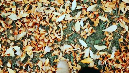 O PRIMEIRO PASSO PARA GUADAR DINHEIRO DE MANEIRA CERTA E DEIXAR DE SER POBRE | PRIMO POBRE |