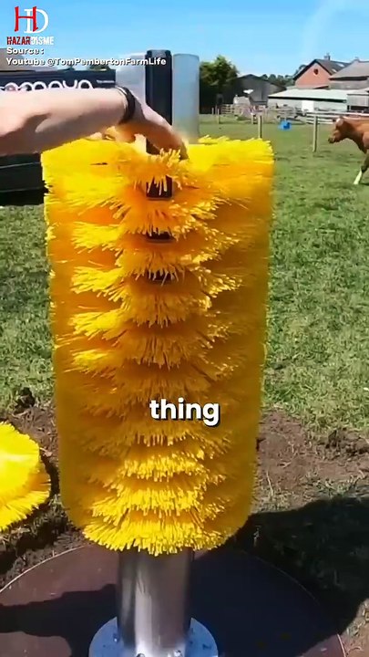 #petshub