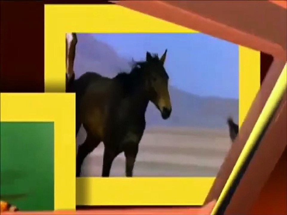 RTP 2 National Geographic Intro (2007-2014) (16:9)