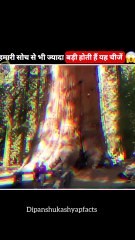 #viralfacts #trandingfacts #viralvideo