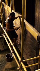 The Story of Humans, Animals and the Sea | A Journey of Survival and Connection  #OceanStory #HumansAndAnimals #SeaLife #NatureVlog #Wildlife #OceanJourney #SaveTheSea