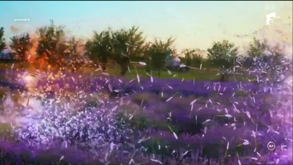 Iubire cu parfum de lavandă Sezonul 3 Episodul 7 din 24.10.2025 Part 1