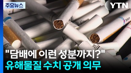 "담배에 이런 성분까지?"...내년 하반기면 파악 가능 / YTN