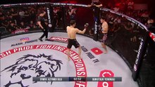 MMA Knockouts 2025 – Part 59  The Most Brutal Finishes Ever