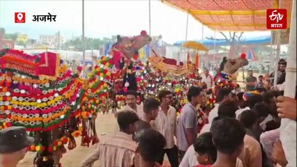 पुष्कर मेले में ऊंटों की डांस प्रतियोगिता, धुन पर थिरकते ऊंटों ने सबका मन मोहा, कमेटी के निर्णय पर पशुपालकों को आपत्ति