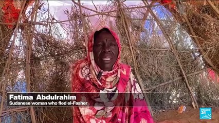 Sudan's RSF captures El-Fasher, sparking fears of mass killings