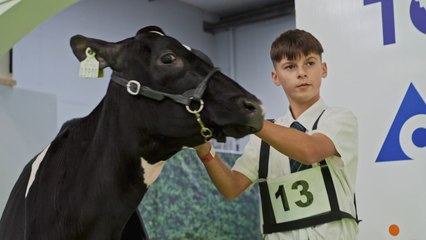 Ear to the Ground (1993) Season 33 Episode 1