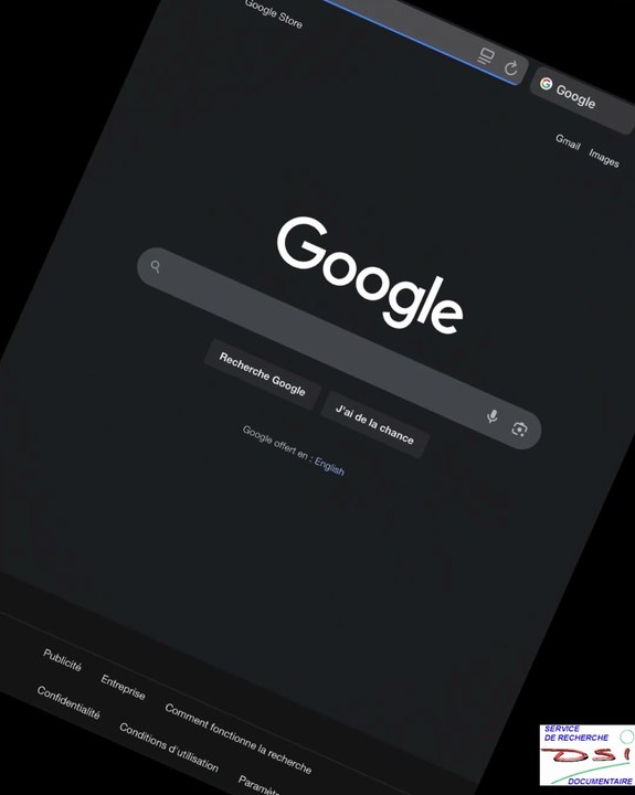 DSI. Les Oeufs de Pâques de Google (Easter Eggs). Chapitre 10. Les faux Easter Eggs. elgooG. 3e partie. Les Easter Eggs d'elgooG : Google sombre