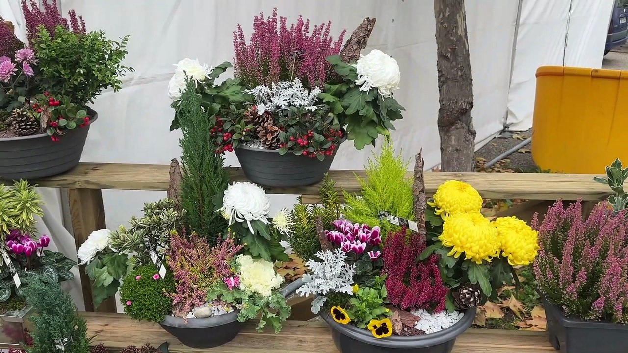 Toussaint : au cimetière du Crêt-de-Roc, les Stéphanois fidèles au rendez-vous du souvenir