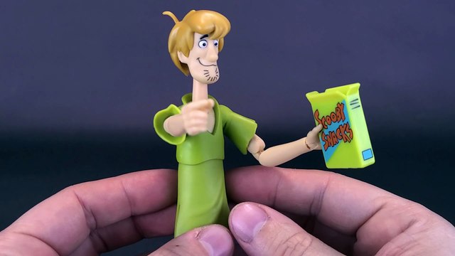Jada Toys Scooby-Doo! Shaggy Rogers Figure Review