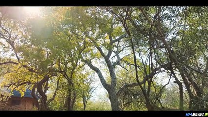 Pangolin: Kulus Journey – Full Movie Dubbed Hindi